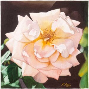 Rose by Kevan Rigby